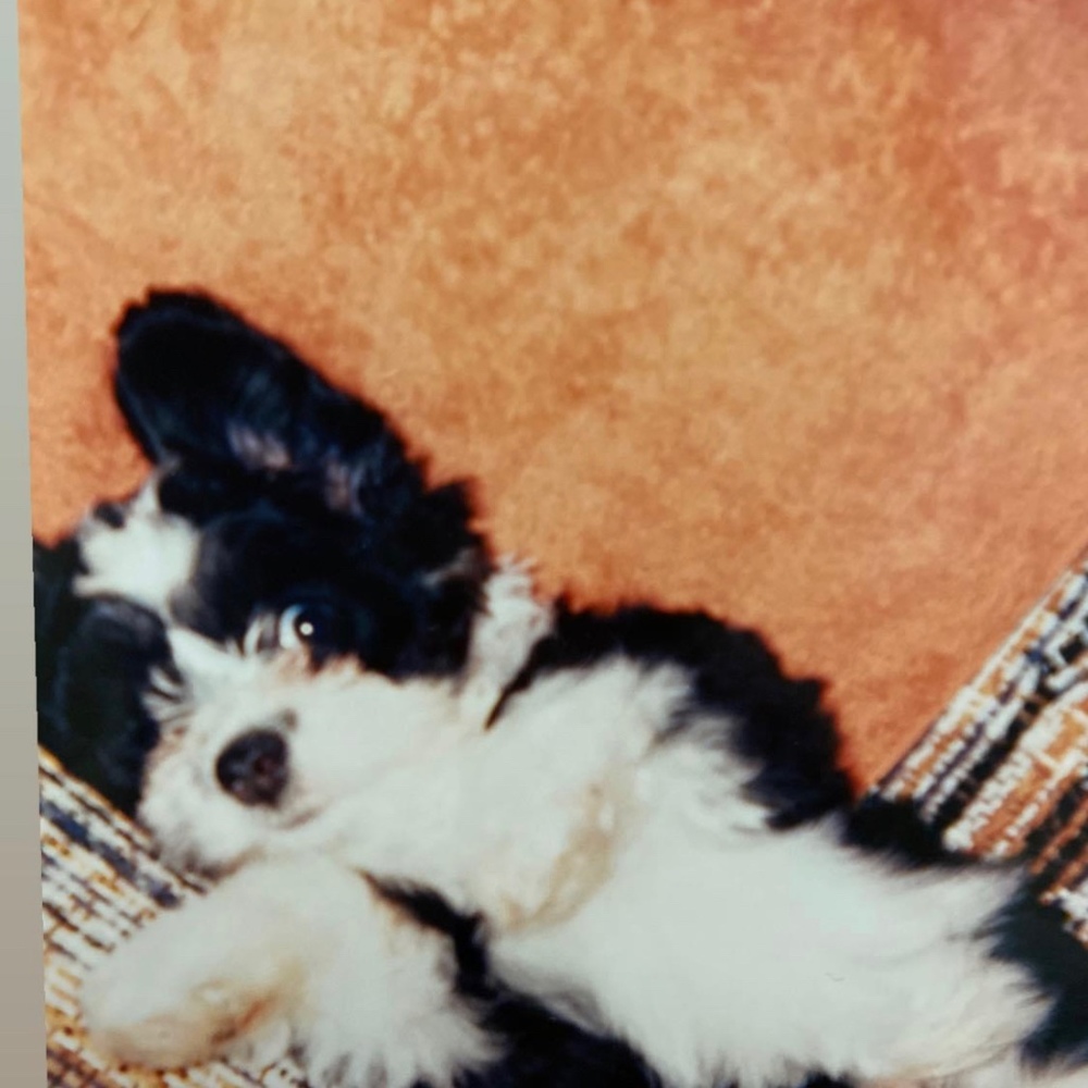 Meet your Posher, Lana